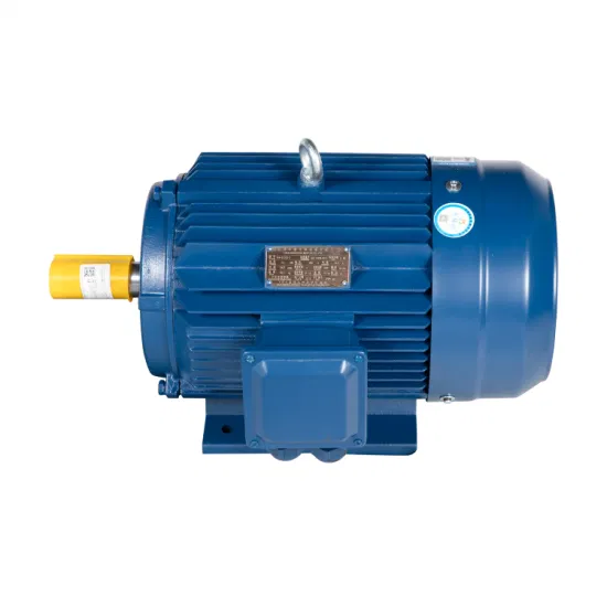 Tcyp100L1-750/0,75 кВт Синхронный реактивный двигатель переменного тока с переменной частотой