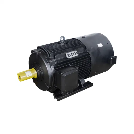Tcyp100L1-1500/2,2 кВт Синхронный электродвигатель переменного тока с регулируемым сопротивлением